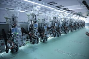 WhatsApp Image 2026 03 05 at 3.48.16 PM (1)